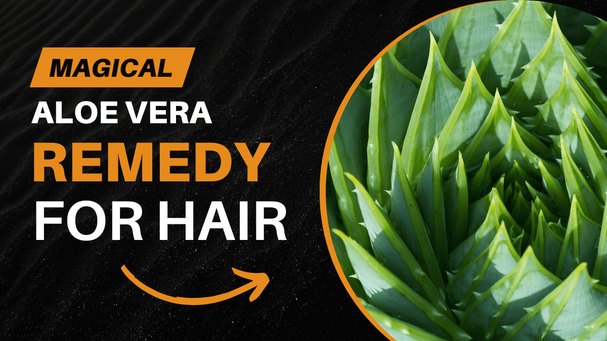 Aloe Vera for Hair Growth 3 Effective Home Remedies to use at Home