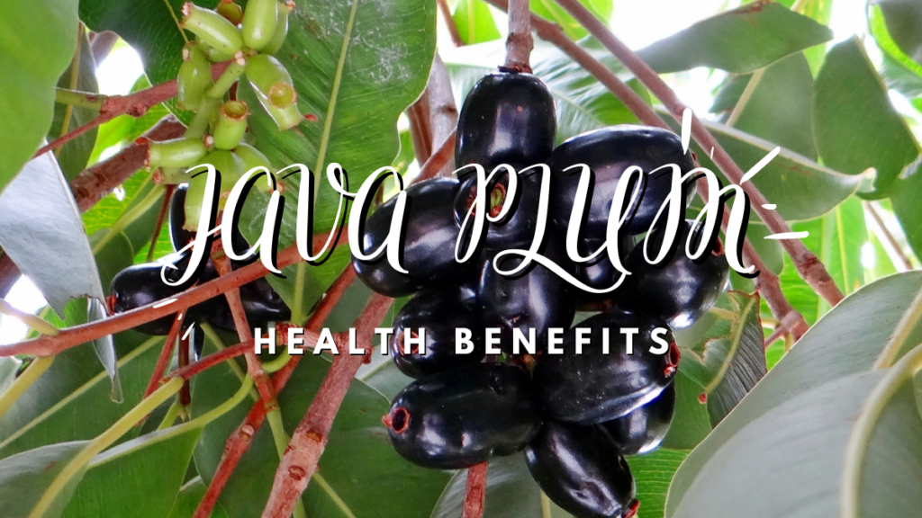 Java Plum (Jamun) Health Benefits