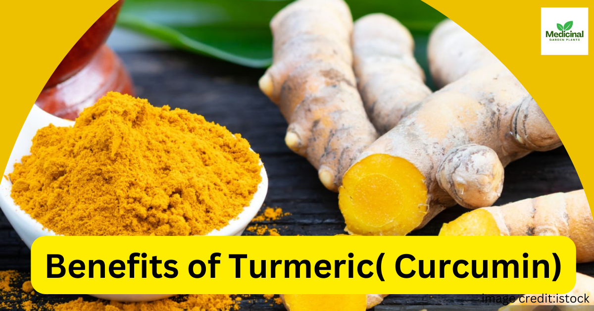 Benefits of Turmeric (Curcumin) for skin