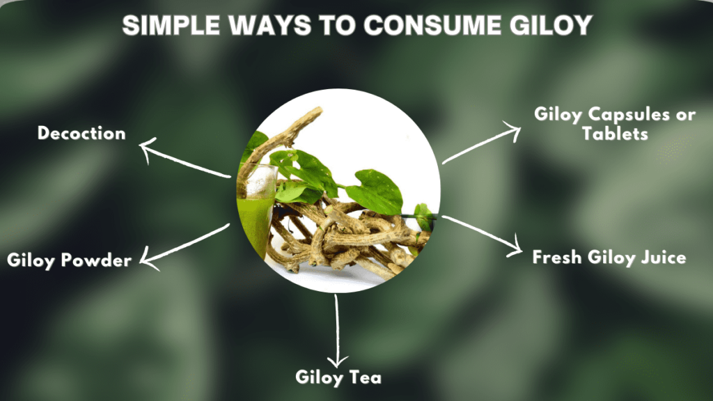 Ways to consume Giloy (Tinospora cordifolia)