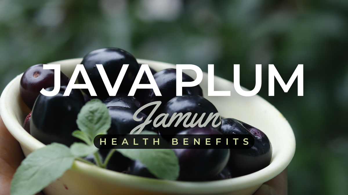 Java Plum (Jamun)