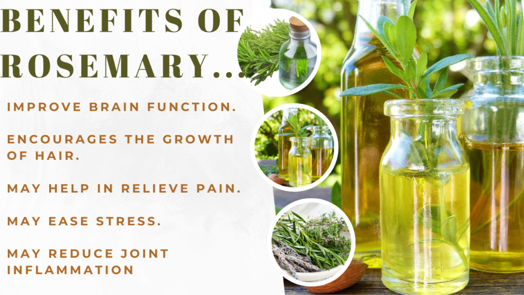 Benefits of Rosemary