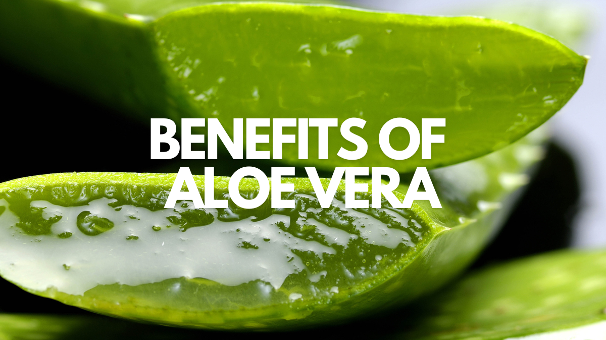 Benefits of aloe vera