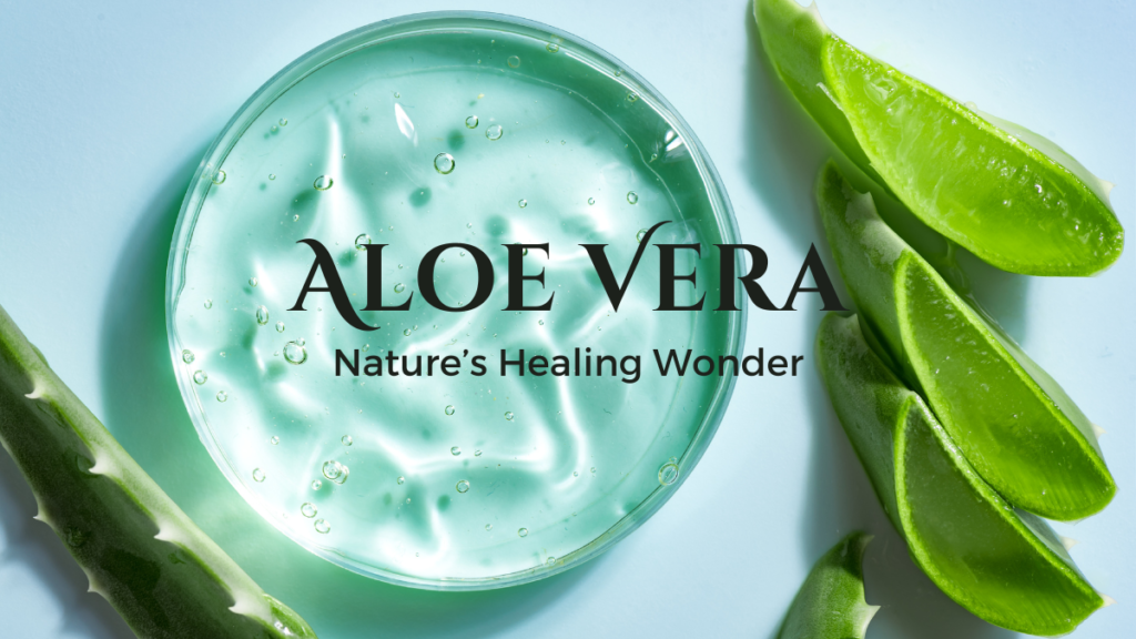 Aloe vera 