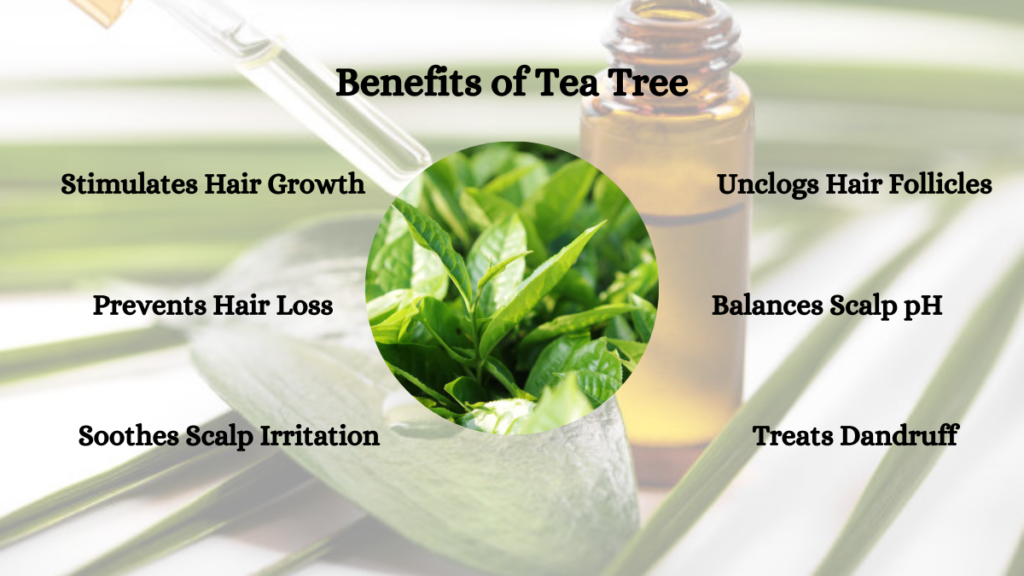 Benefits of Tea tree