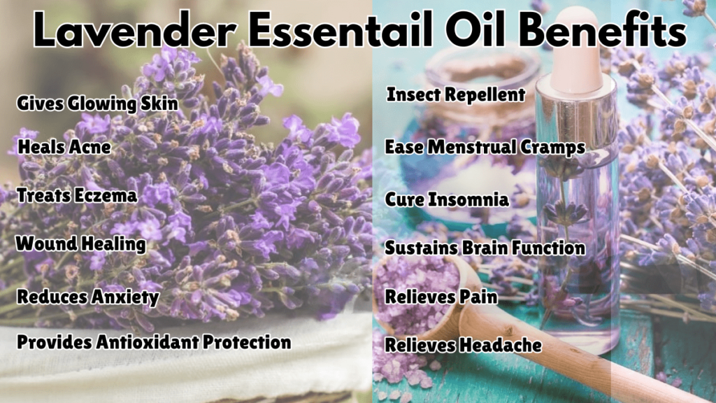 Lavender Essential Oil Benefits