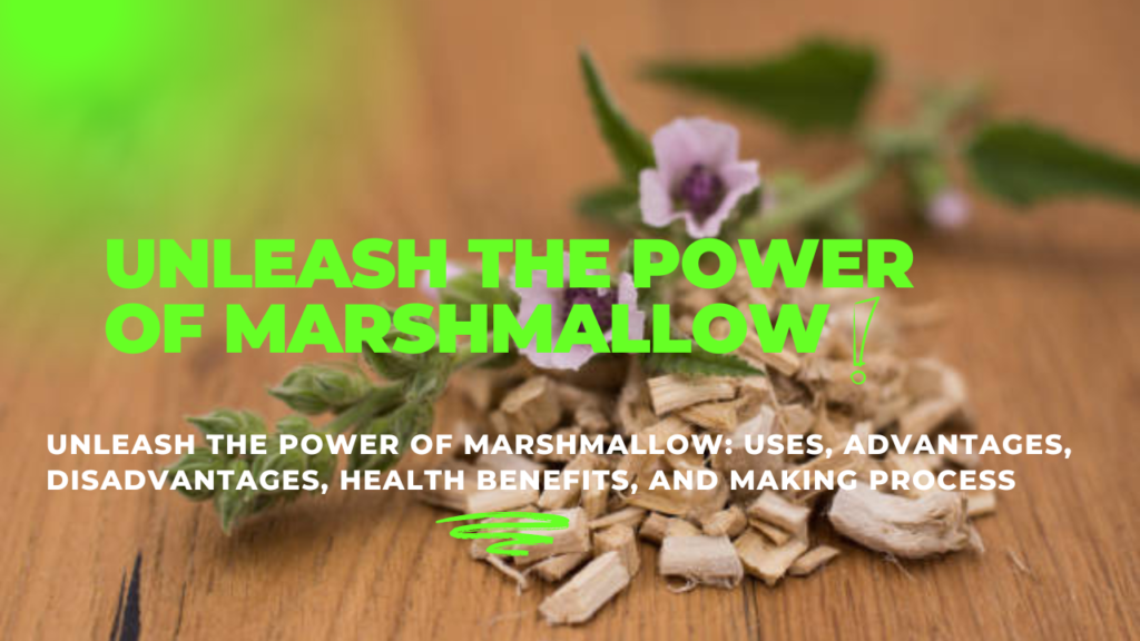 Marshmallow Uses, Advantages, Disadvantages, Health Benefits