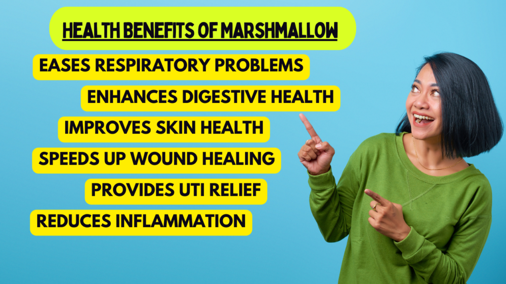 Health benefits of Marshmallow