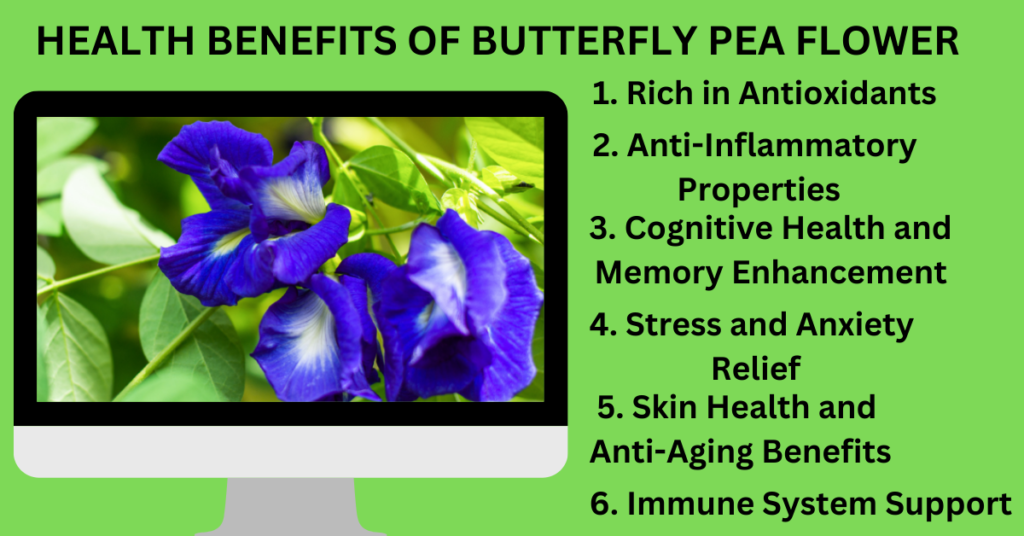 Health Benefits of Butterfly Pea Flower
