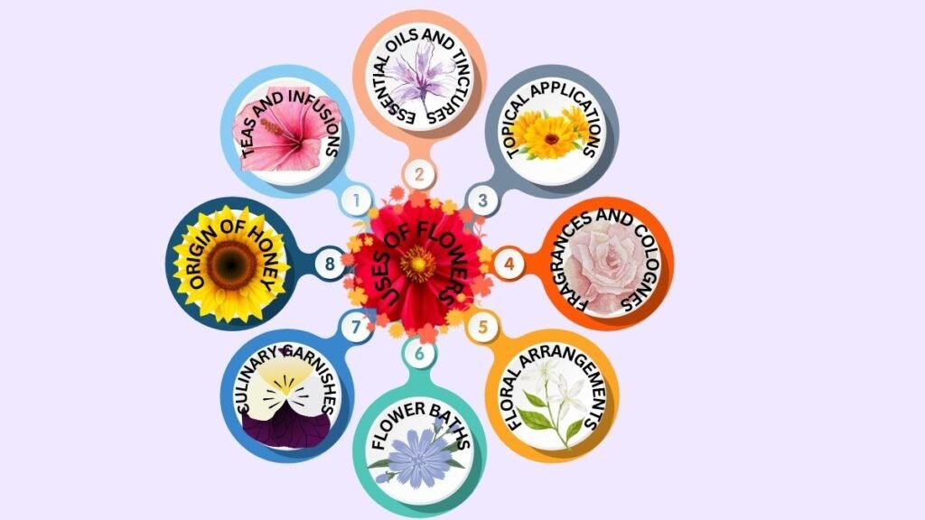 The Incredible Uses of Flowers: Unlocking a World of Health and Beauty