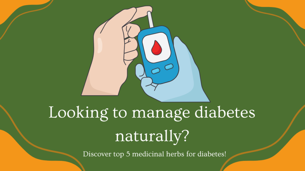 top 5 medicinal herbs for diabetes