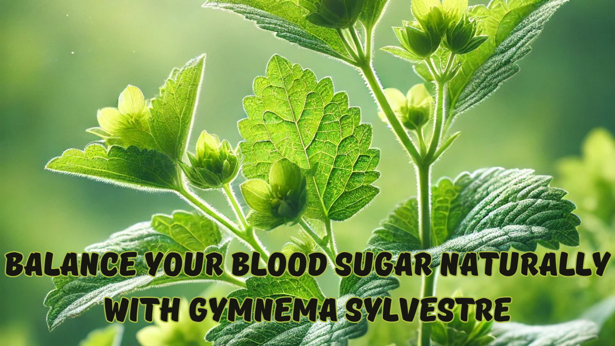 The Sugar Destroyer Plant: Gymnema Sylvestre