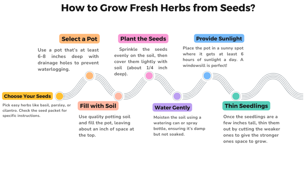 How to grow herbs in pots from seeds in 7 steps?