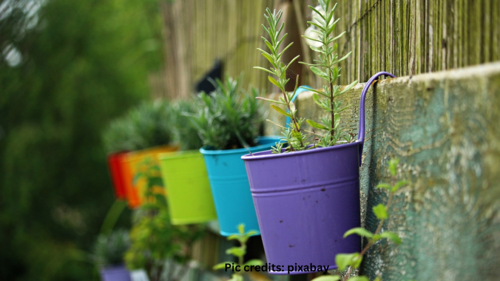 Discover the benefits of growing medicinal plants in pots. Explore our comprehensive guide to nurturing healing herbs in your own home garden.