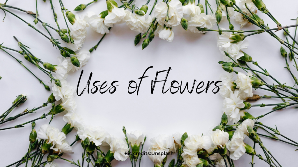 various Flowers and their uses in daily life